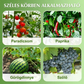 💝 Növényekhez használható biztonságos műanyag kapcsok🍅