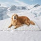 🐾Μαξιλάρια άνεσης ψύξης για κατοικίδια 🐶❄️