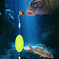 🎣⚡ Kéthorogú, fordított fenékhorogsor! A továbbfejlesztett változat 50%-kal növeli a fogási arányt – búcsút inthetünk a fenékbe akadásnak! 🎣