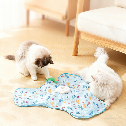🐱2 az 1-ben macskajáték – bújócska játék