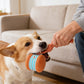 🐶Interaktív gördülő labda kutyajáték🎁