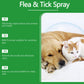 🍃Kutyáknak és macskáknak készült természetes bolha- és kullancsriasztó spray🐾 – Védje kedvencét a parazitáktól