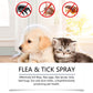 🍃Kutyáknak és macskáknak készült természetes bolha- és kullancsriasztó spray🐾 – Védje kedvencét a parazitáktól