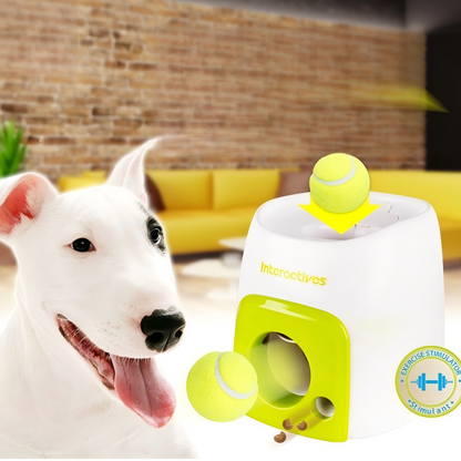 🐶Automatikus kutyagolyó-kilövő