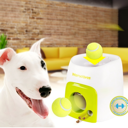 🐶Automatikus kutyagolyó-kilövő
