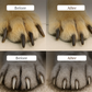 🐶 LED-es világítással ellátott állat-körömvágó – precíziós penge, beépített világítás és biztonsági védőburkolat🐾