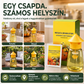 🐝🏡 Beltéri és kültéri függeszthető légycsapda – négy bejárattal, egyszerű felszerelés, újrafelhasználható, hatékony kártevőirtás