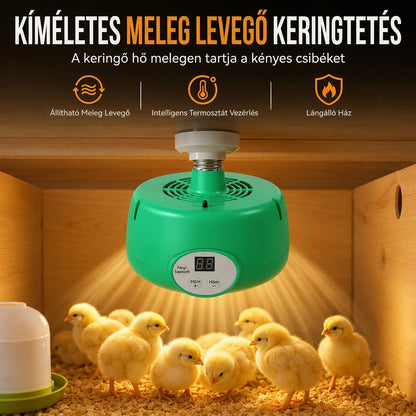 🐣🌡️ Intelligens hőmérséklet-szabályozású keltetőmelegítő – Stabil hő a kiscsibék és fiókák számára